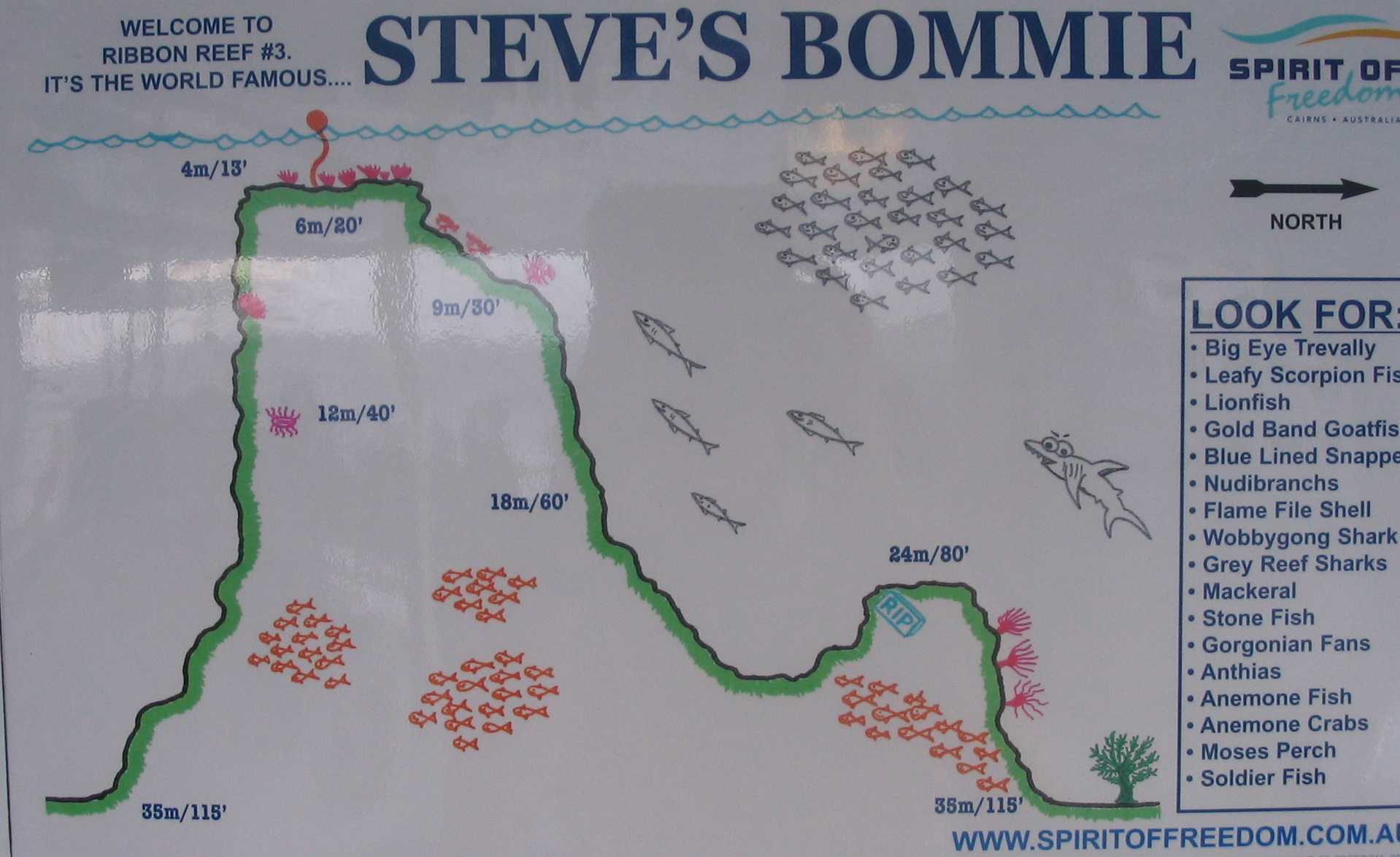 Map for Steve's Bommie