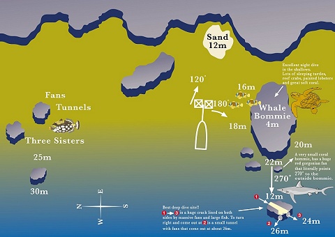 Map for Milln Reef, Whale Bombie
