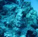 Dive image