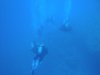 Dive image