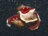 Dive image