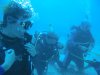 Dive image