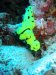 Dive image