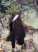 Dive image