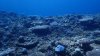 Dive image