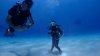Dive image