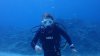 Dive image