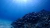 Dive image