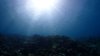 Dive image