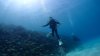 Dive image