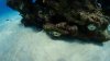 Dive image
