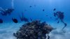 Dive image
