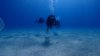 Dive image