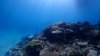 Dive image