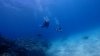 Dive image