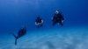 Dive image
