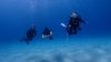 Dive image
