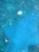 Dive image