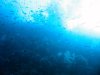 Dive image